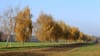 Sommerserie Strassennamen: Druse, Rain und Allmend