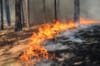 Feuerverbot wegen Waldbrandgefahr