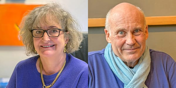 Stephanie Rippmann, Anwältin und Werner Gröner, Unternehmer und Coach. (Bilder: dwe)