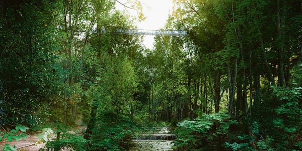 Schwebendes Projekt: Visualisierung einer möglichen Hängebrücke über dem Küsnachter Tobel. (Bild: zvg)
