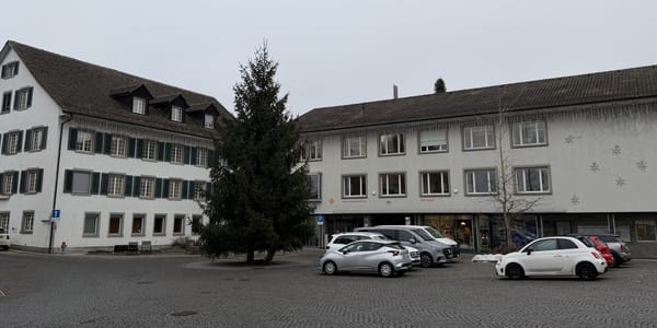 Hohes Bewusstsein für die Sicherheit der Küsnachterinnen und Küsnachter: Die Gemeindeverwaltung. (Bild: dwe)