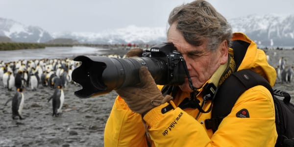 Der STAB-Jahrespreisträger, fotografiert für den ART-Jahreskalender: Benno Lüthi bei den Königspinguinen in Südgeorgien. (Bil