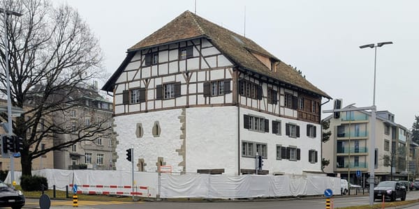 Ab Ende Januar beherbergt das Höchhus wieder die Gemeindebibliothek und die Galerie. (Bild: BSE)