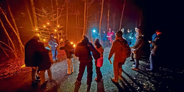 «O Tannenbaum, o Tannenbaum, wie grün sind deine Blätter!» Die Pfadis der PTA am Pfannenstil feierten gemeinsam mit ihren Ang