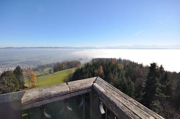 Lake Zurich from Above