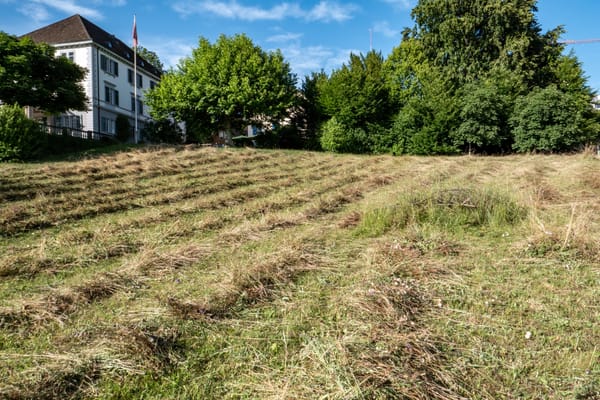 Mit der Sense am Wangensbach