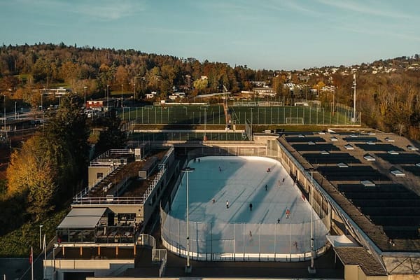 Grosses Kaderupdate bei den GCK Lions